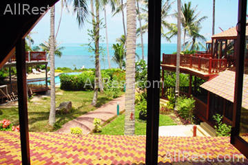 Coconut Paradise 6